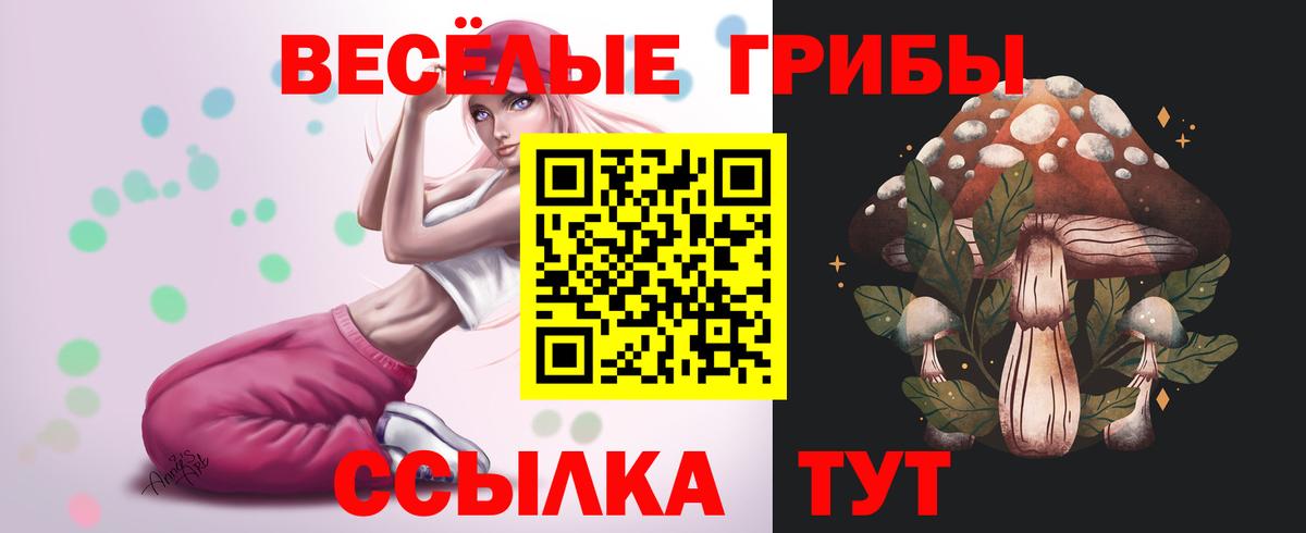 Галлюциногенные грибы GOLDEN TEACHER  Вход с VPN  Электросталь 